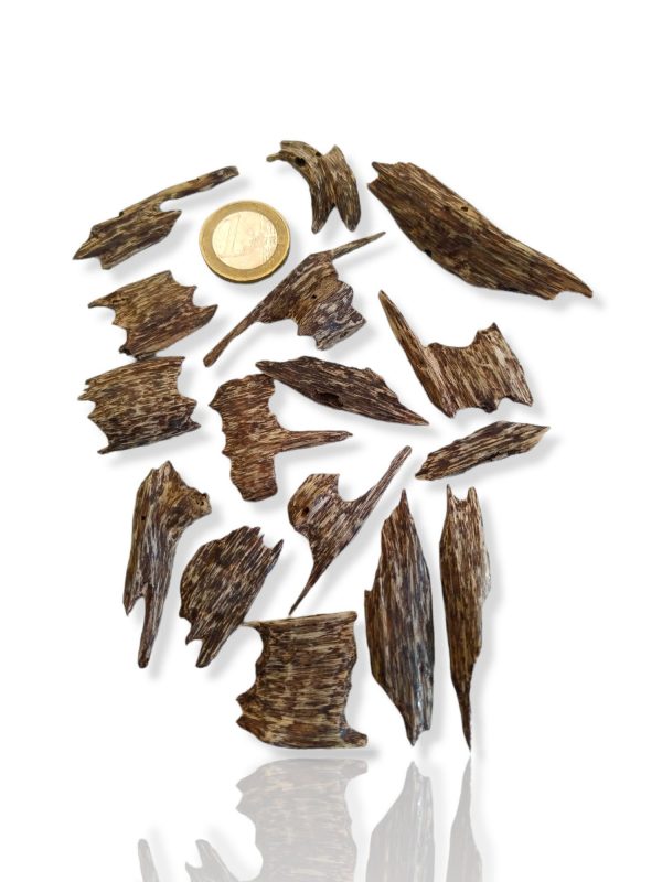 10,02g Wild Oudh Auslese Extra